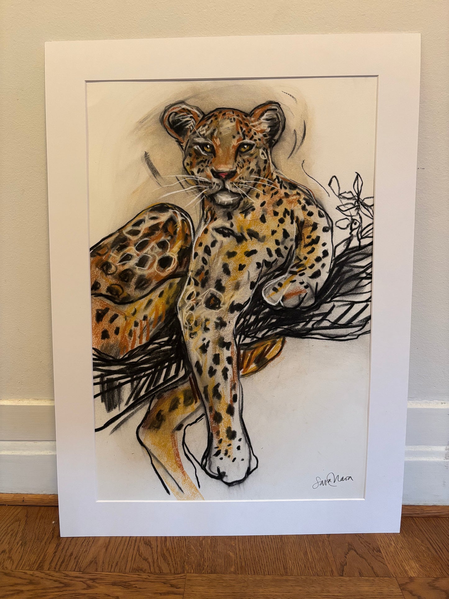 Leopard