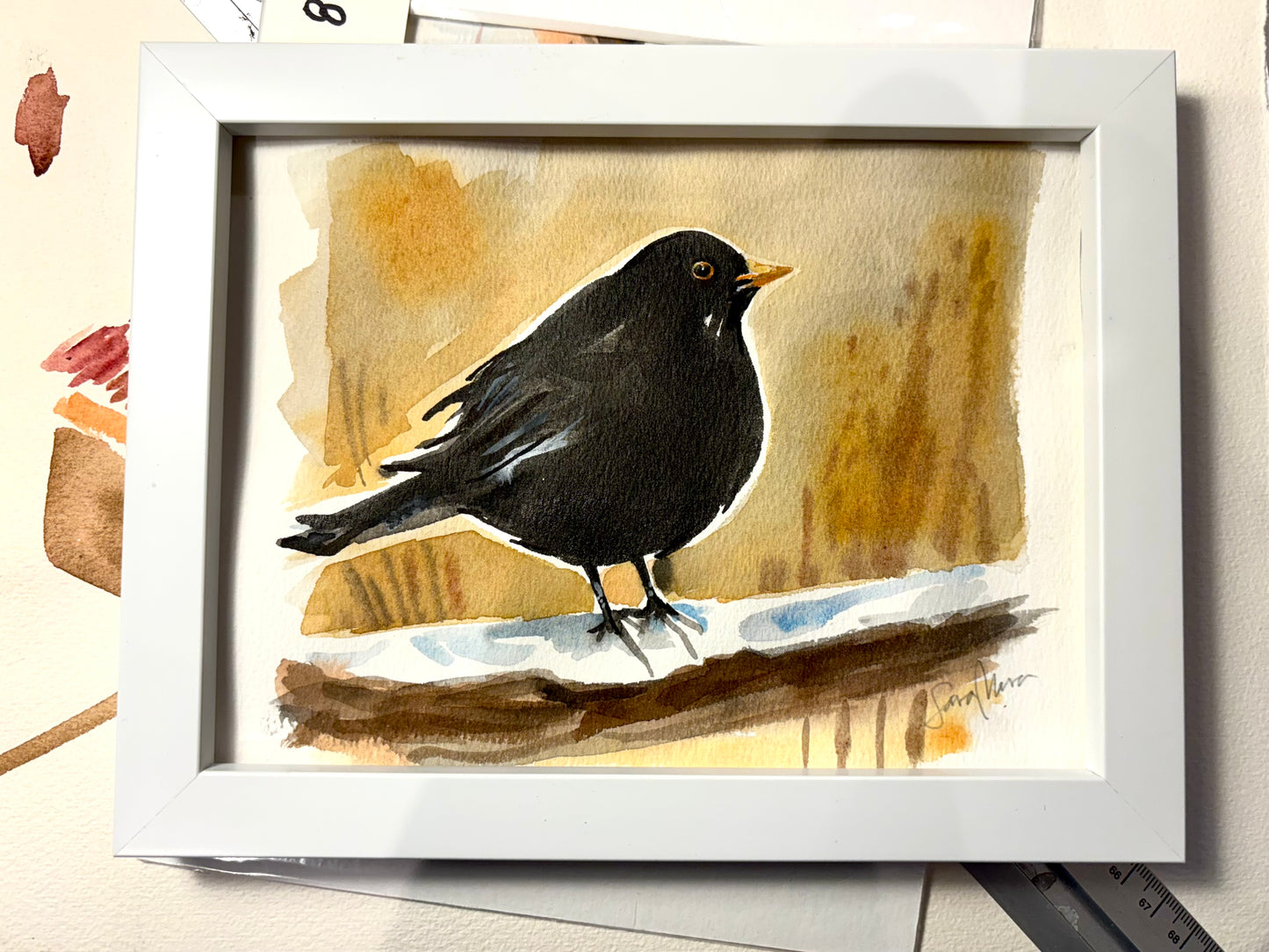 Little blackbird