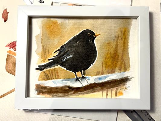Little blackbird