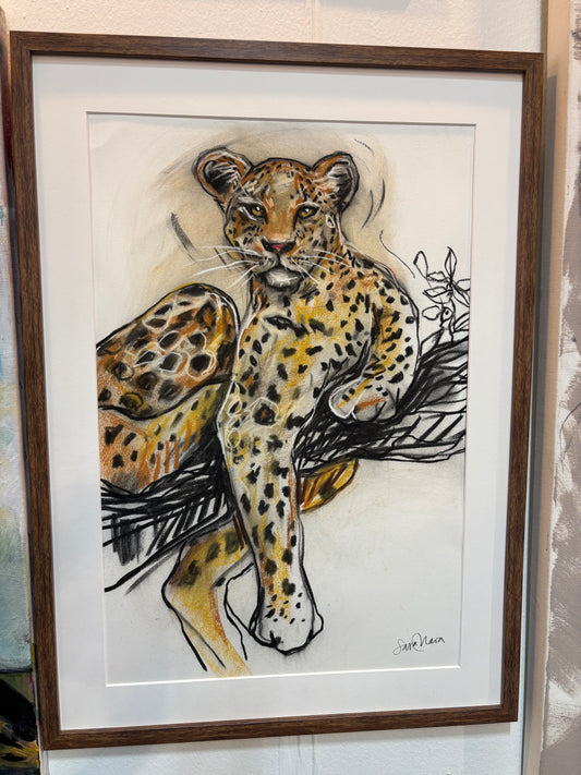 Leopard